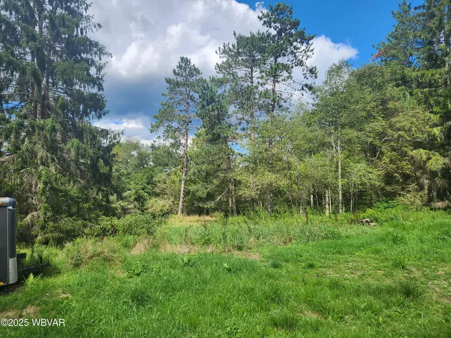 1050 Old Bernice Road, Mildred, PA 18632 - Image #3