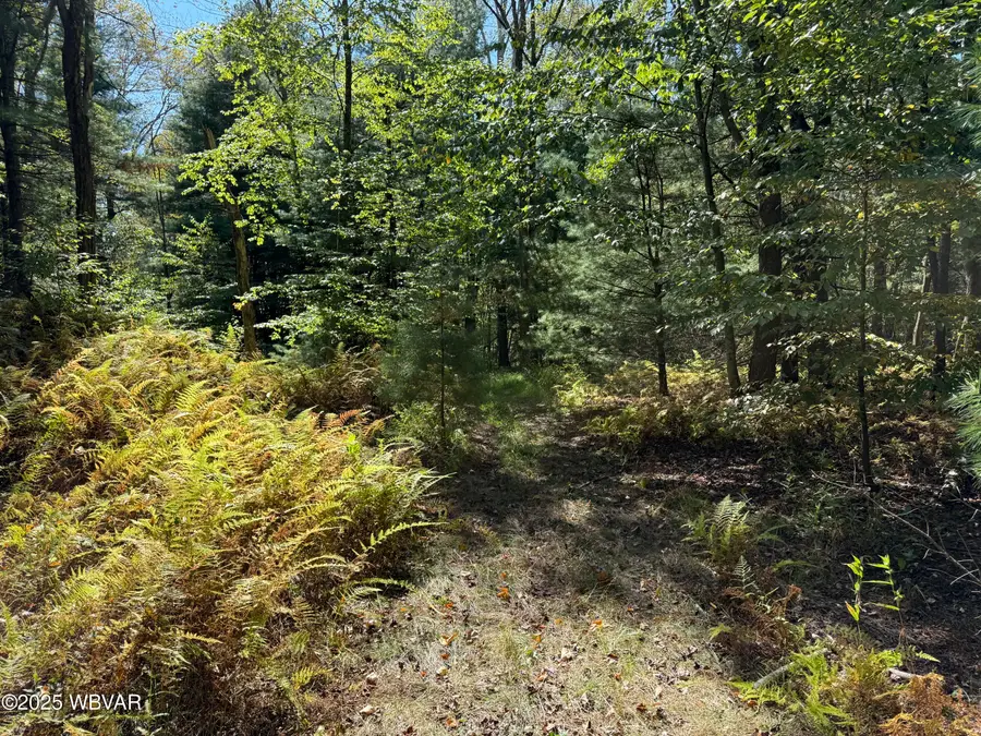 PARCEL 003 Foley Road, Renovo, PA 17764 - Image #2