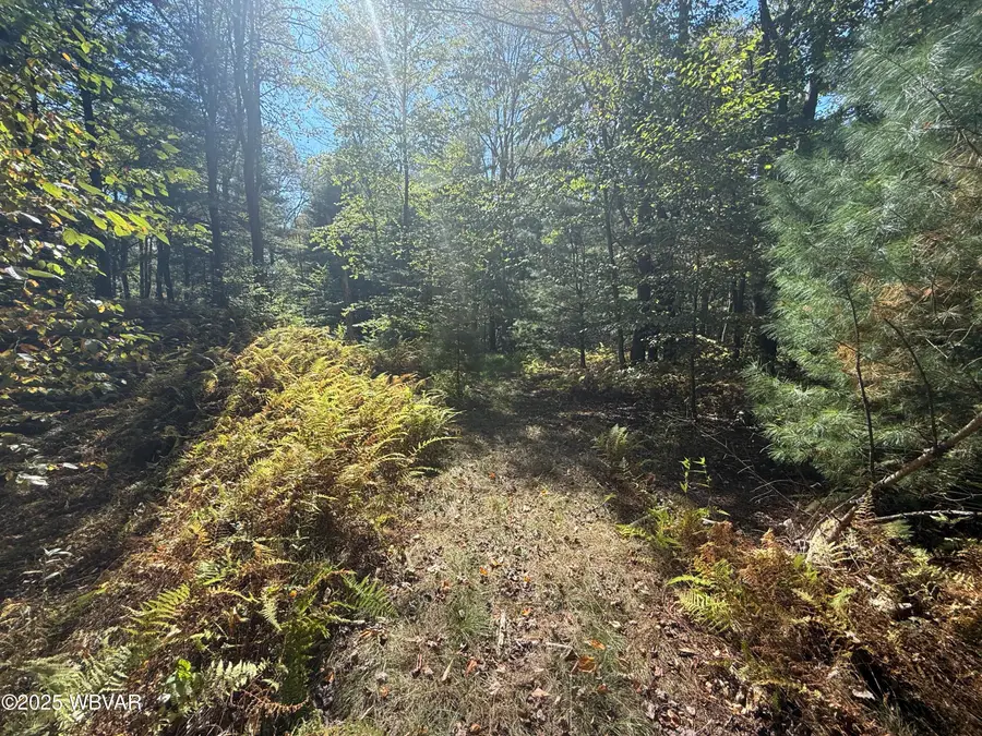 PARCEL 003 Foley Road, Renovo, PA 17764 - Image #3