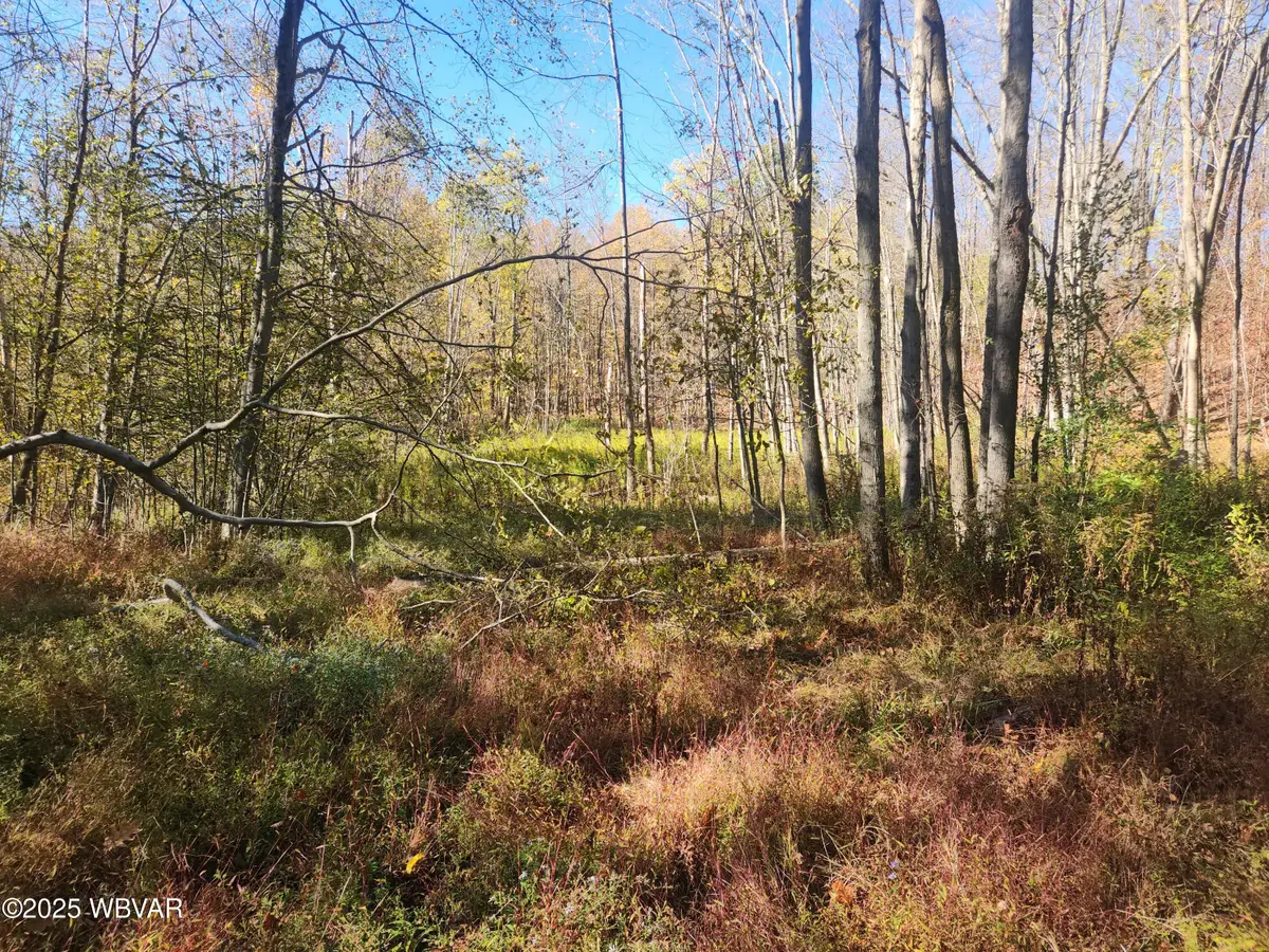 2200 Overton Road, New Albany, PA 18833 - Image #1