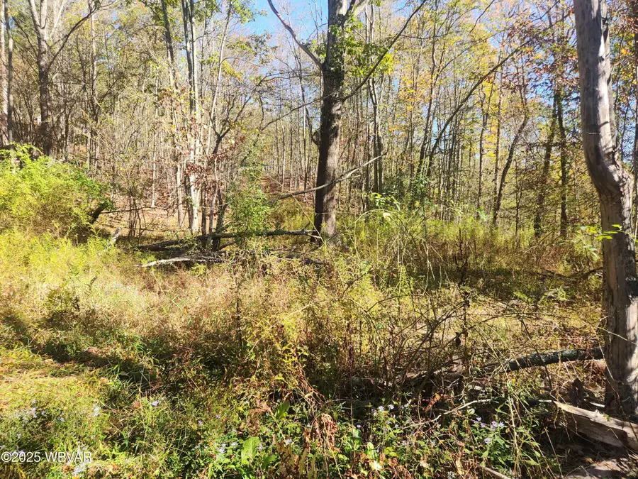 2200 Overton Road, New Albany, PA 18833 - Image #3