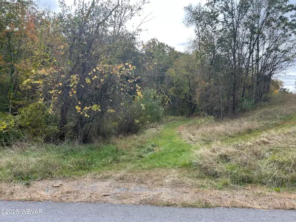 PARCEL 170 Colvin Road, Williamsport, PA 17701