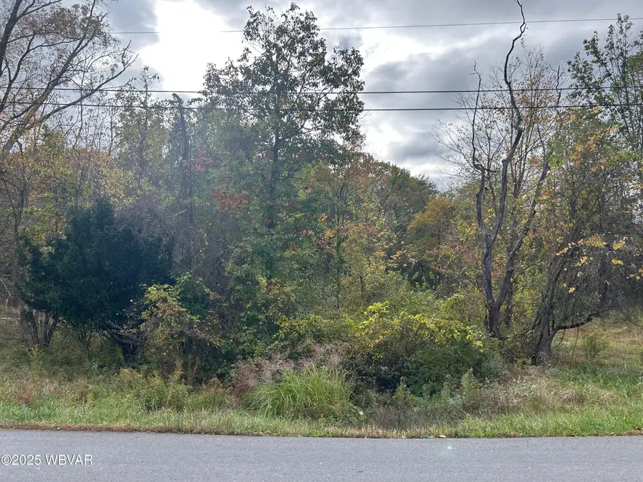 PARCEL 170 Colvin Road, Williamsport, PA 17701 - Image #2