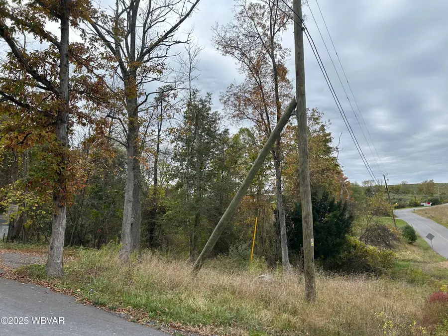 PARCEL 170 Colvin Road, Williamsport, PA 17701 - Image #3