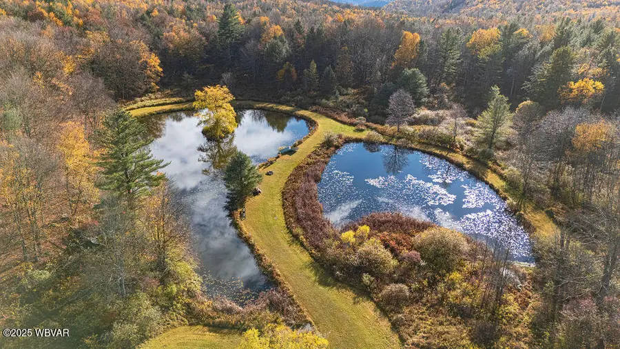 1382 Bear Mountain Road, Forksville, PA 18616 - #3