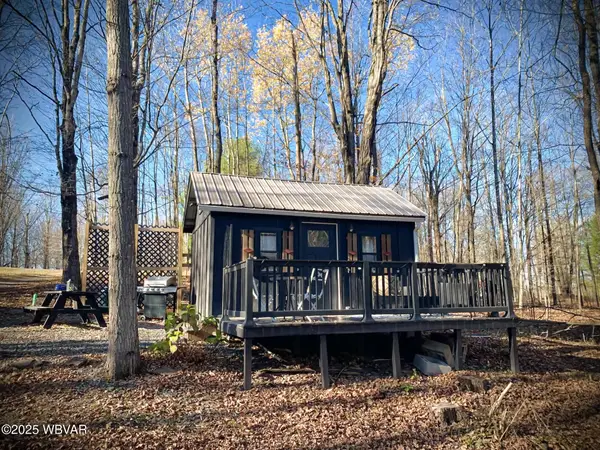 730 Elys Road, Dushore, PA 18614