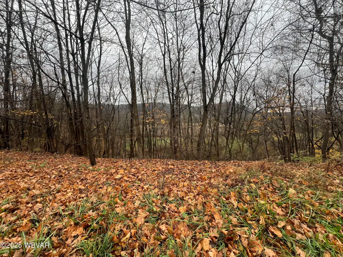 2329 Route 87 Highway, Montoursville, PA 17754 - Image #1