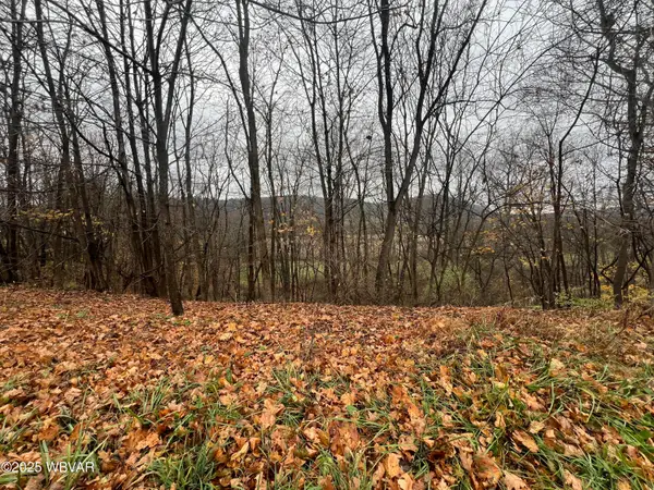 2329 Route 87 Highway, Montoursville, PA 17754