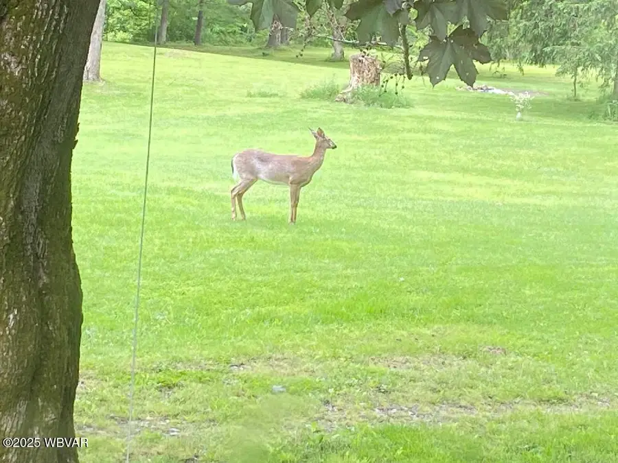 8 Marsh Hill Road, Trout Run, PA 17771 - Image #3