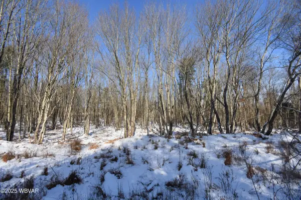 31 Black Bear Trail, Loganton, PA 17747