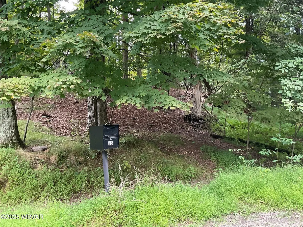 65 Lakeside Drive, Muncy Valley, PA 17758 - Image #1