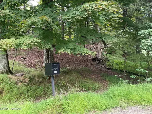 65 Lakeside Drive, Muncy Valley, PA 17758