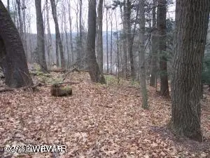 65 Lakeside Drive, Muncy Valley, PA 17758 - Image #2