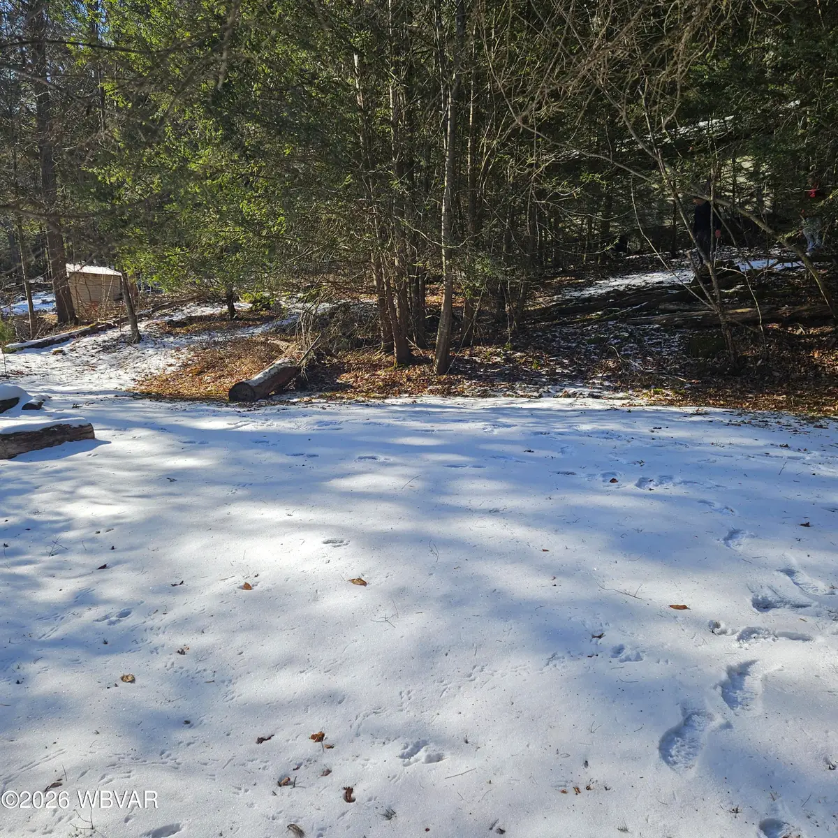 004 First Fork Road, Grove, PA 15861 - #1