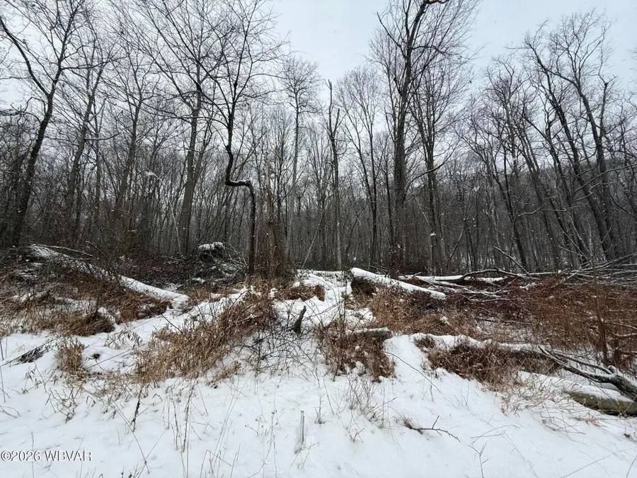 PARCEL 002 Renovo Road, Renovo, PA 17764 - #2