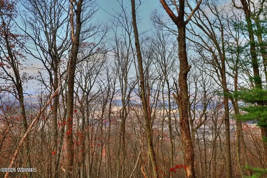 449 Evergreen Lane, Catawissa, PA 17820 - #2