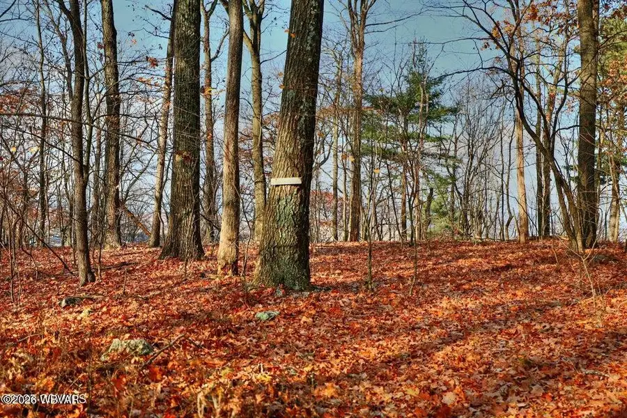 449 Evergreen Lane, Catawissa, PA 17820 - #3