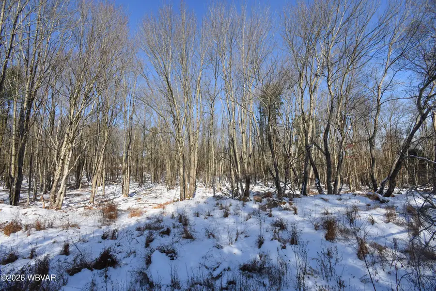 20 Wagmyr Lane, Loganton, PA 17747 - #2