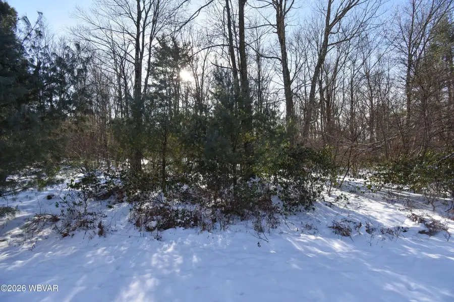 20 Wagmyr Lane, Loganton, PA 17747 - #3