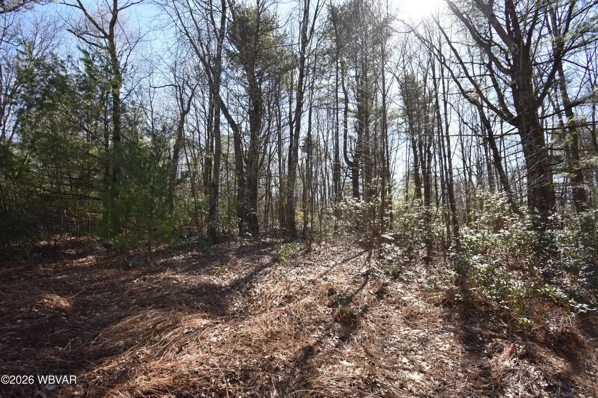 851 Wagmyr Lane, Lock Haven, PA 17745 - #1