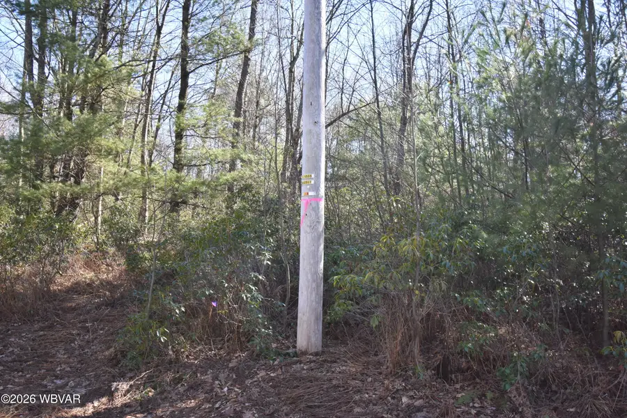 851 Wagmyr Lane, Lock Haven, PA 17745 - #2