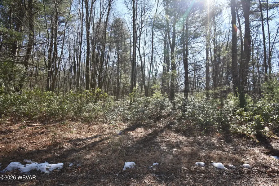 851 Wagmyr Lane, Lock Haven, PA 17745 - #3