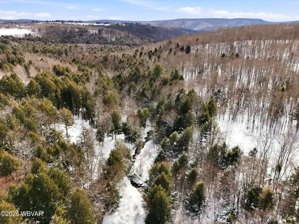 814 Route 4008, Forksville, PA 18616