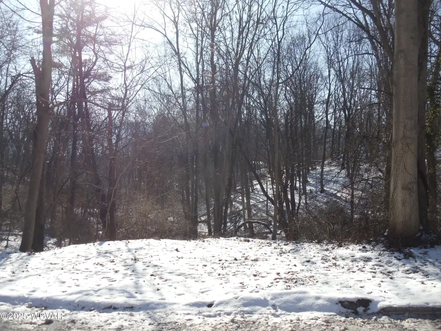 PARCEL 200 NW Vallamont Drive, Williamsport, PA 17701 - #3