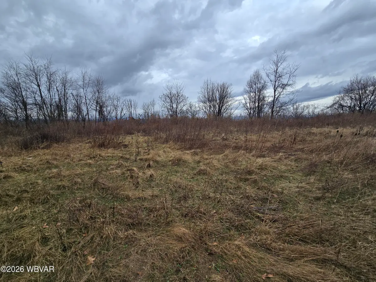 PARCEL 142 Rt 15, South Williamsport, PA 17702 - #1