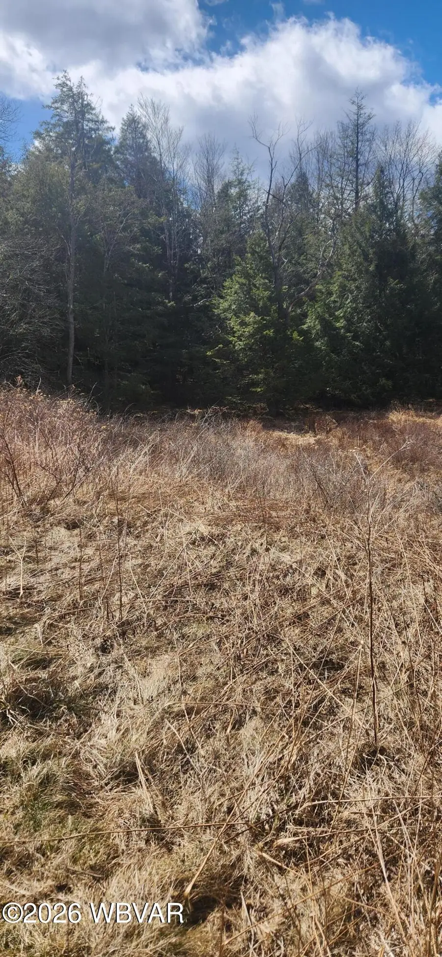 PARCEL 004 Maple Summit Road, Shunk, PA 17768 - #2