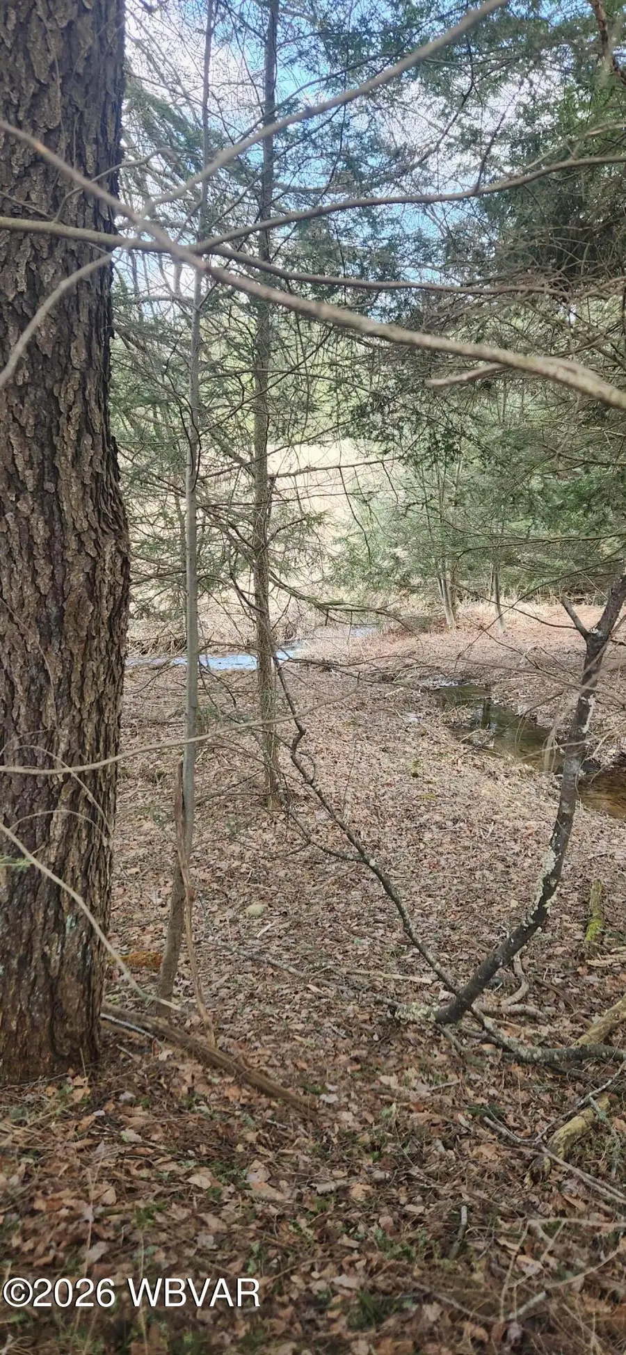 PARCEL 004 Maple Summit Road, Shunk, PA 17768 - #3