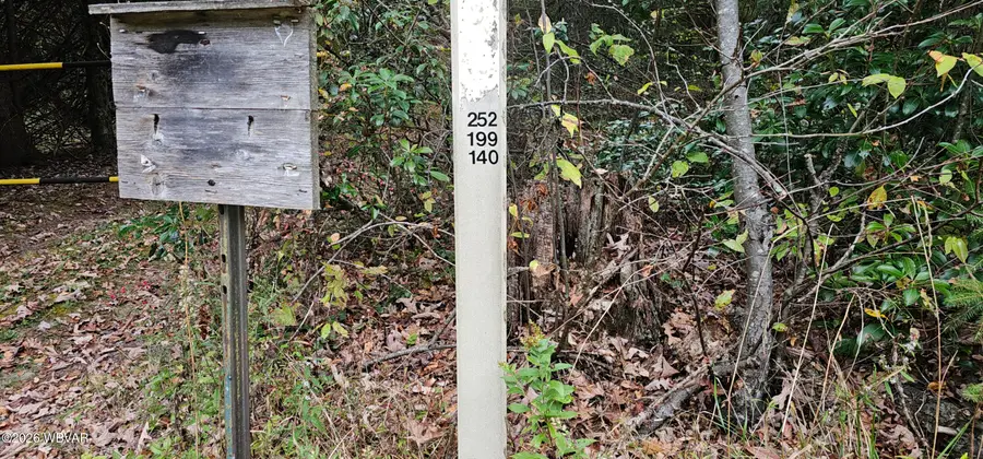 7533 Ridge Road, Renovo, PA 17764 - #3