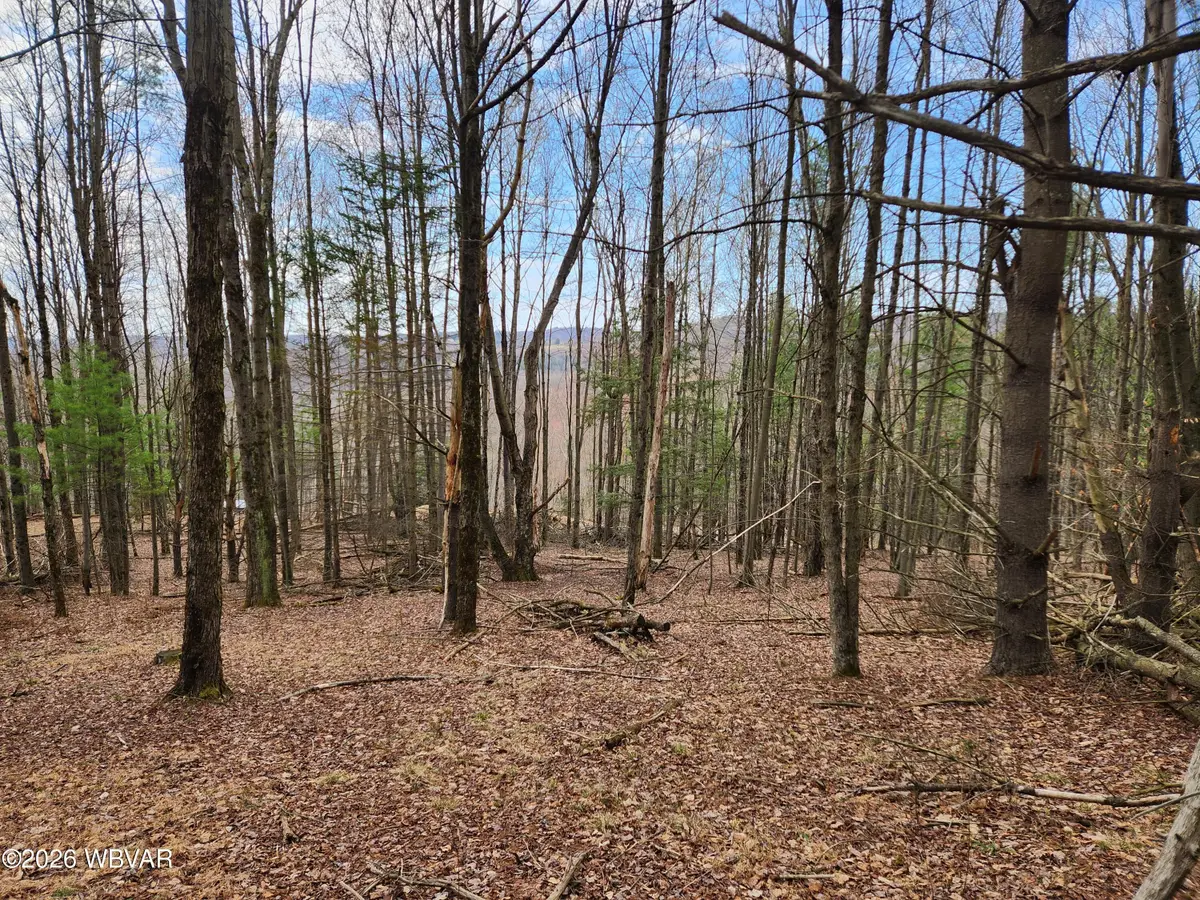 1888 Whiskey Run Road, Muncy Valley, PA 17758 - #1