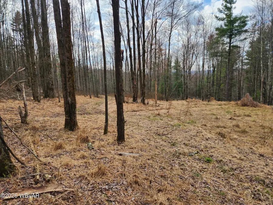 1888 Whiskey Run Road, Muncy Valley, PA 17758 - #3