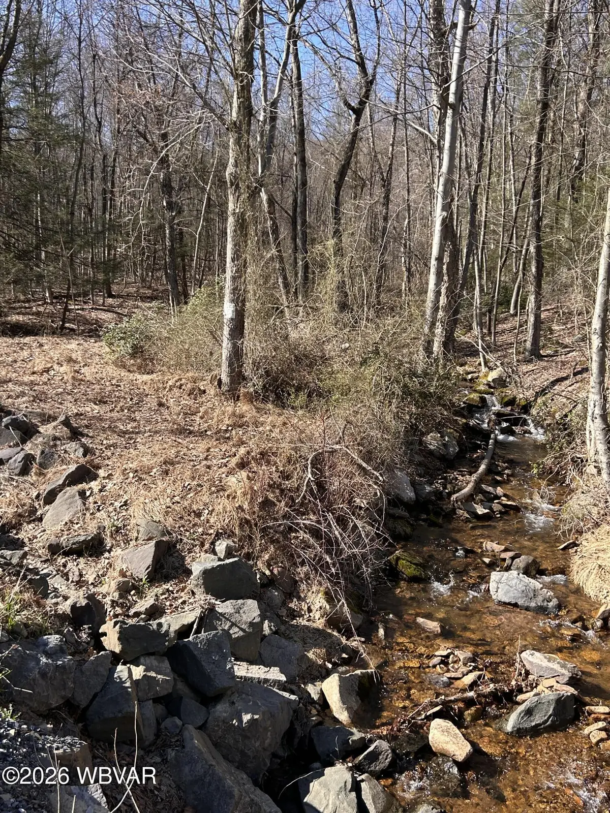 PARCEL 103 State Route 239 Highway, Benton, PA 17814 - #1