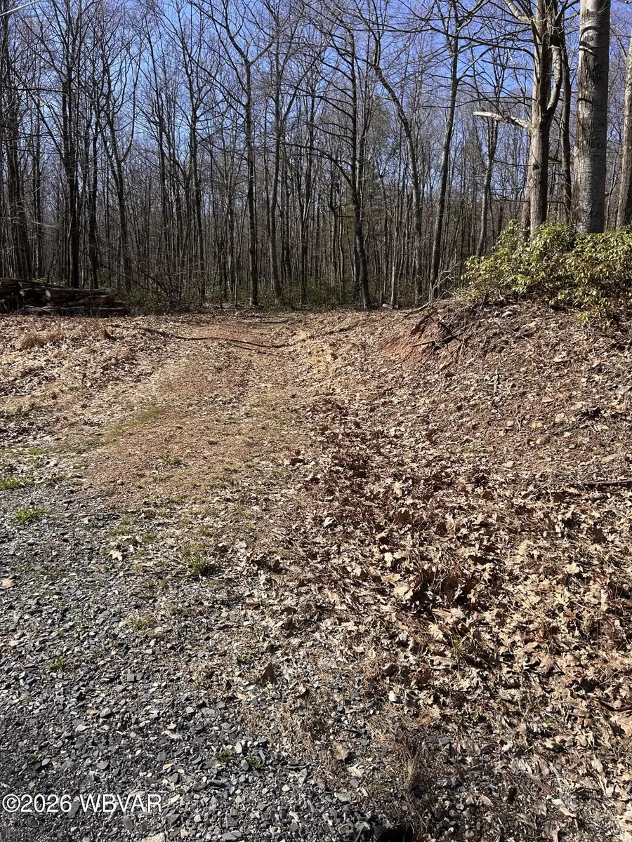 PARCEL 103 State Route 239 Highway, Benton, PA 17814 - #2