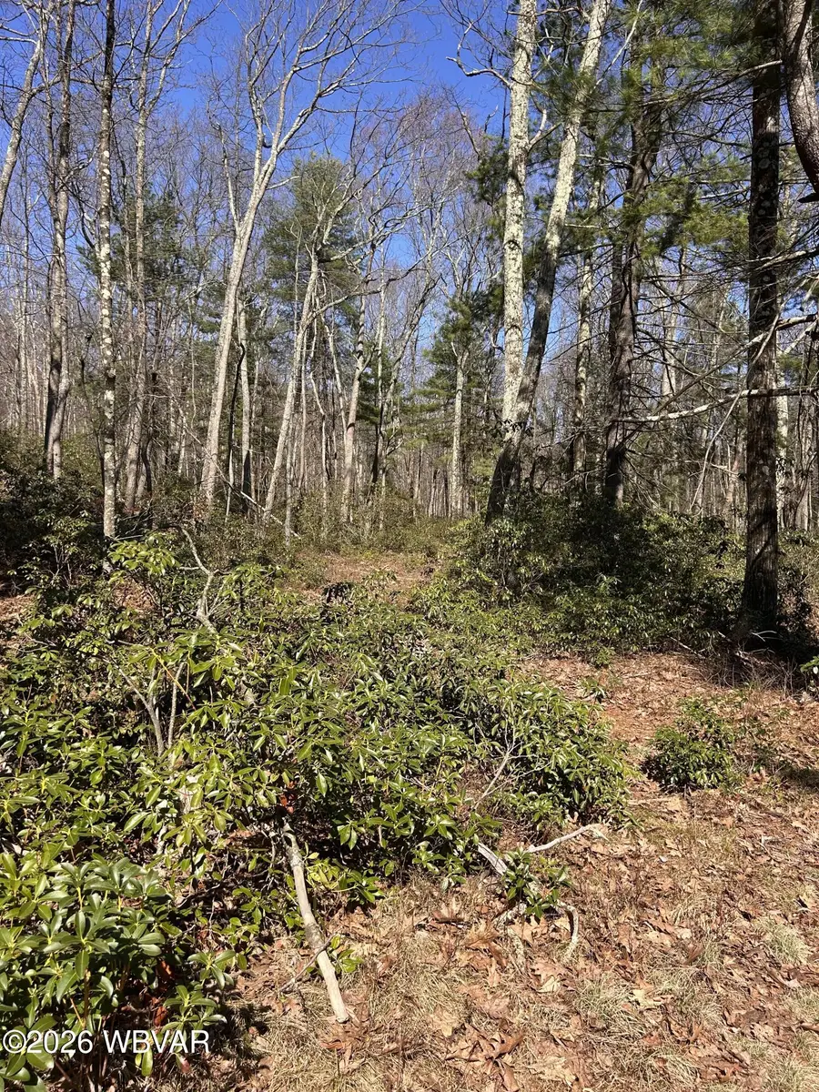 PARCEL 103 State Route 239 Highway, Benton, PA 17814 - #3