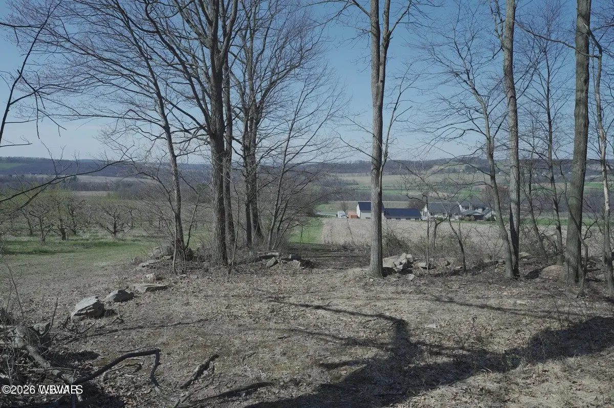 PARCEL 089 W Mountain Road, Paxinos, PA 17860 - #1
