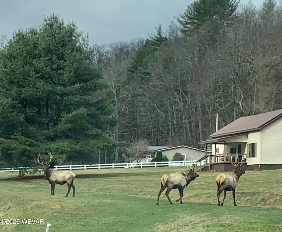 23 Page Run Road, Renovo, PA 17764 - #2
