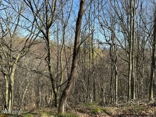 Parcel 031 Glory Ridge Road, Shunk, PA 17768 - #3