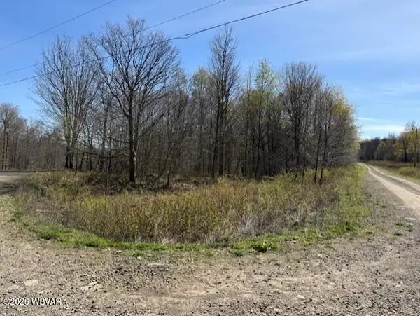 Parcel 037 Revelation Road, Shunk, PA 17768