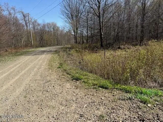 Parcel 037 Revelation Road, Shunk, PA 17768 - #2