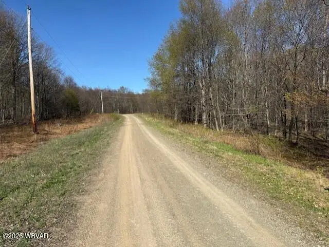 Parcel 037 Revelation Road, Shunk, PA 17768 - #3