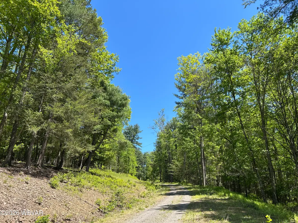 PARCEL 112 Tallman Hollow Road, Montoursville, PA 17754 - #1