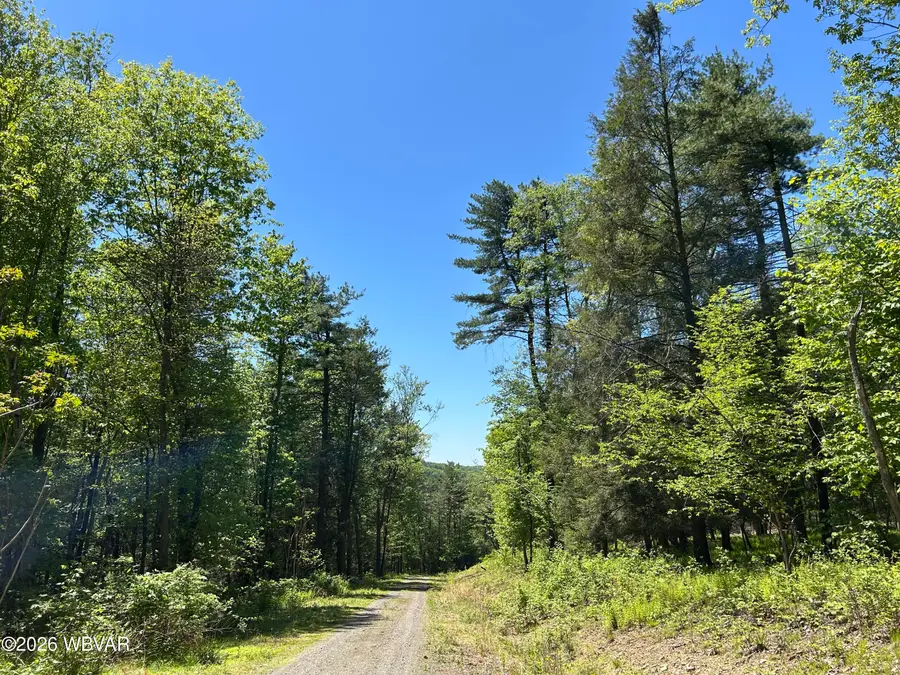 PARCEL 112 Tallman Hollow Road, Montoursville, PA 17754 - #2