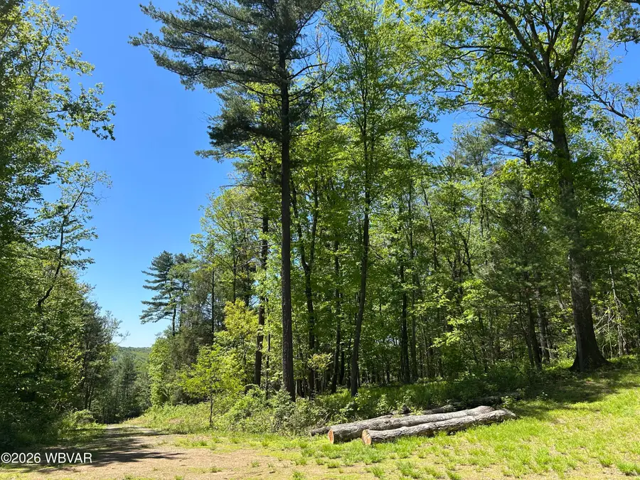 PARCEL 112 Tallman Hollow Road, Montoursville, PA 17754 - #3