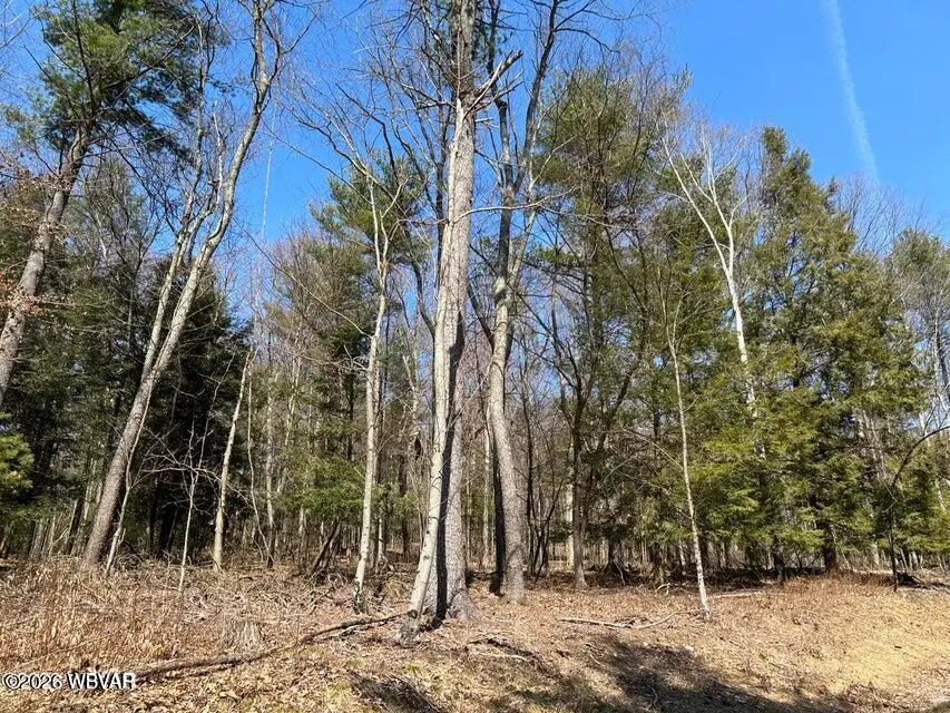 PARCEL 112 Tallman Hollow Road #LOT 2, Montoursville, PA 17754 - #2