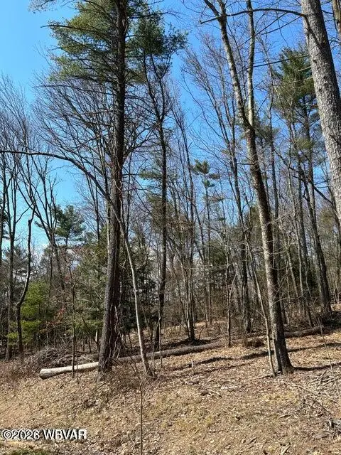 PARCEL 112 Tallman Hollow Road #LOT 2, Montoursville, PA 17754 - #3
