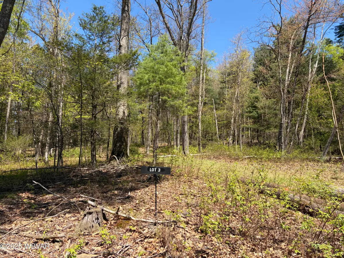 PARCEL 112 Tallman Hollow Road #LOT 3, Montoursville, PA 17754 - #1