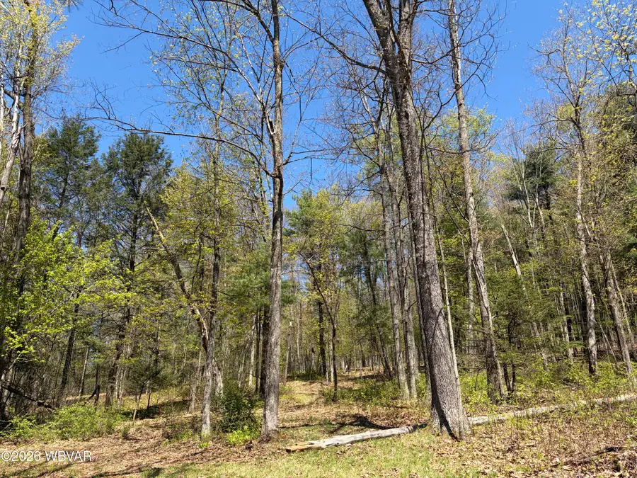 PARCEL 112 Tallman Hollow Road #LOT 3, Montoursville, PA 17754 - #2